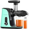 AMZCHEF Cold Press Juicer with 2 Speed Control - High Juice Yield Juicer Machines with Ultradense Filter - Masticating Slow Juicer for Whole Frui