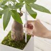 SUS tee Aquameter (Set of 5), Watering Checker for Plants, Helps Watering Plants Correctly, Simple to Use, Prevents Plant Wilting, No Batteries N