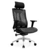 FMXQYH Ergonomic Office Chair High Back Reclining Mesh Chair with Lumbar Support, Home Office Desk Chair Swivel Computer Task Chair with Adjustab