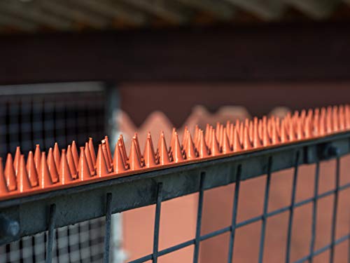 Prikkastrip Eco Fence Wall Spikes Garden Security Anti climb cat/intruder deterrent (5m, Grey)