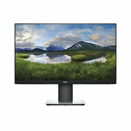 Dell 24 USB-C Monitor P2421DC 60.5cm 23