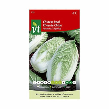 Chinese Cabbage Nagaoka F1 Hybrid Seeds - The Most Popular Vegetable in Asia - 0,5 g - Seeds: 350
