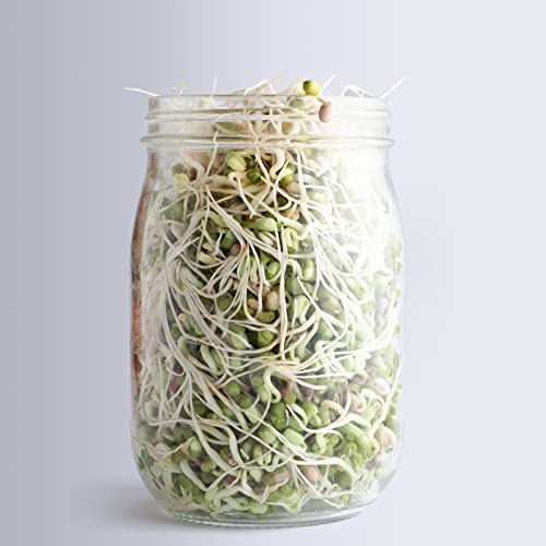 MoYouno Sprouting Jar Kit, 2Pcs Seed Sprouter Kit, Indoor Seed Sprouter,Sprout Growing Kit-with Tray,Stand, Sprout Lids,Wide Mouth Quart Mason Ja