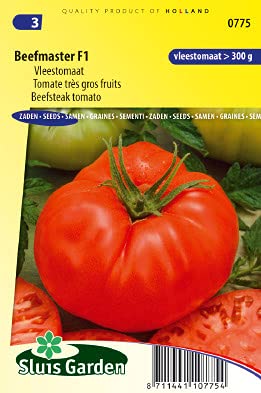 Tomato Beefmaster VFN F1 Vegetable Seeds per Gram - Ribbed, flattened Oval Fruits - Seeds per Gram: +/-25
