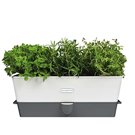 Cole & Mason H105349 Burwell Self-Watering Potted Herb Saver, Windowsill Herb Planter Indoor/Herb Box/Indoor Herb Garden, Triple, Suitable for 3