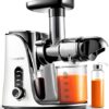 AMZCHEF Cold Press Juicer with 2 Speed Control - High Juice Yield Juicer Machines with Ultradense Filter - Masticating Slow Juicer for Whole Frui