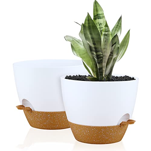 Warmplus 25cm Self-Watering Plant Pots Indoor, 2 Pack Large Plastic Plant Pots with Deep Reservior and High Drainage Holes for Indoor Outdoor Pla