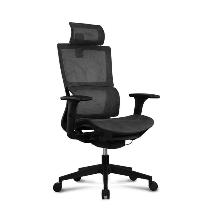 Homesbrand Ergonomic Home Office Mesh Chair, Computer Chair with Adjustable Headrest & Elastic Lumbar Support & 3D Armrest, High Back Executive S