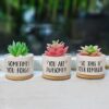 Birthday Gifts For Women, Gifts For Her, 50th Birthday Gifts For Women, Presents for Women, Gifts For Women Birthday Unique, Garden Gifts For Wom
