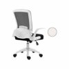 BZLSFHZ Ergonomic Office Desk Chair Mesh Swivel Computer Task Chair Mid Back with Flip Up Arms