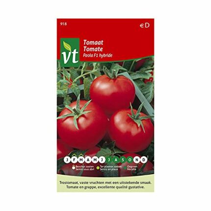 Tomato Paola F1 Hybrid Seeds - Very red and Excellent Taste - 0,2 g - Seeds: 300
