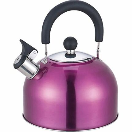 Whistling Kettle 2.5 Litre Stainless Steel Pink