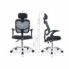 WALNUT Lifting Computer Chair Home Seat Office Chair Gaming Chair Office Chair Reclining Back (Color : C)