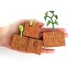 URFEDA Life Cycle Figurines of Plant, Growth Cycle Toys for Kids Learning and Teaching Aids Plant Life Cycle Growth Cycle Model Life Cycle Plant
