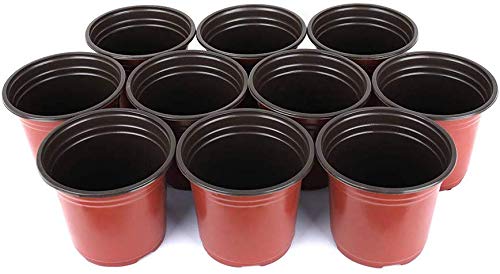 LATERN 50Pcs 15cm Plastic Plant Flower Pots Lightweight Seed Starting Pots Nursery Seedlings Pots Flower Plant Container (15 x 13cm)