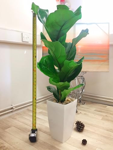 Easy Plants® Fiddle Leaf Fig Tree House Plant in Tall Milano Pot - Gloss White