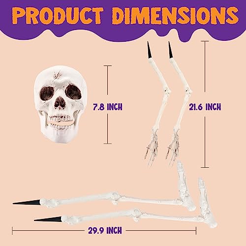 JOYIN 5 PCS Life Size Groundbreaker Skeleton Stakes Halloween Decorations, Full Body Skeleton Yard Stake Realistic Yard Lawn Garden Stakes for Ha
