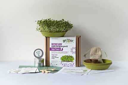 Teeny Greeny Organic Microfarm Superfood Kit – Everything You Need to Grow Your own Super Food – Ideal for Kids or Adults. Perfect Kitchen Garden
