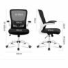 n/a Mesh Swivel Ergonomic Task Office Chair with Computer Chair Home Chair Student Chair Writing Chair Office Chair