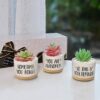 Birthday Gifts For Women, Gifts For Her, 50th Birthday Gifts For Women, Presents for Women, Gifts For Women Birthday Unique, Garden Gifts For Wom
