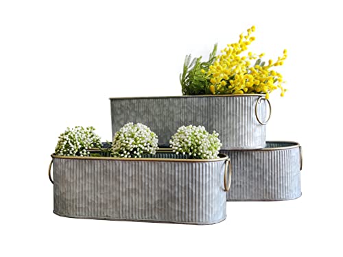 Dipamkar Set of 3 Vintage Long Oval Galvanized Metal Garden Trough Planters Window Sill Box Herb Pots Outdoor Plant Pots