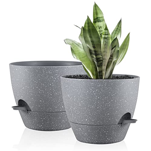 Warmplus 25cm Self-Watering Plant Pots Indoor, 2 Pack Large Plastic Plant Pots with Deep Reservior and High Drainage Holes for Indoor Outdoor Pla