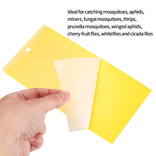 Dual-sided Fly Trap Sticky, 25Pcs Plant Fly Catcher, Board Fruit Fly Traps Sticker Insect Gnat Traps, Yellow Fly Stickers for Mosquitos, Flying A