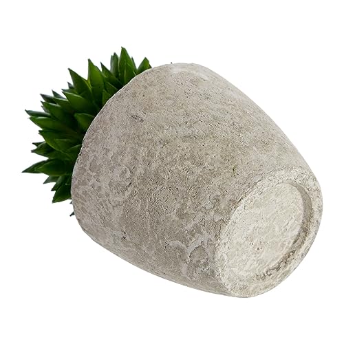 Juvale Artificial Succulents 6 Pack - Cactus Plants with Grey Pots - 4 inch