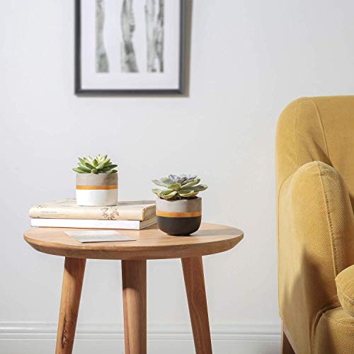 Mkouo 8cm Cement Plant Pots Indoor Succulent Planter Modern Concrete Cactus Flower Pot Small Clay Indoor Herb Window Box Container for Home and O