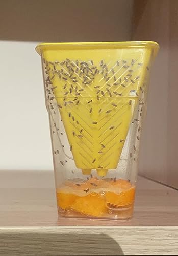 Fruit Fly Trap - 4 Pack - Non-Toxic No Baited Reusable Fruit Flies Catcher Environmentally Responsible Fruit Fly Killer Pet and People Safe