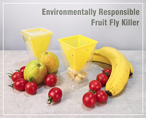 Fruit Fly Trap - 4 Pack - Non-Toxic No Baited Reusable Fruit Flies Catcher Environmentally Responsible Fruit Fly Killer Pet and People Safe