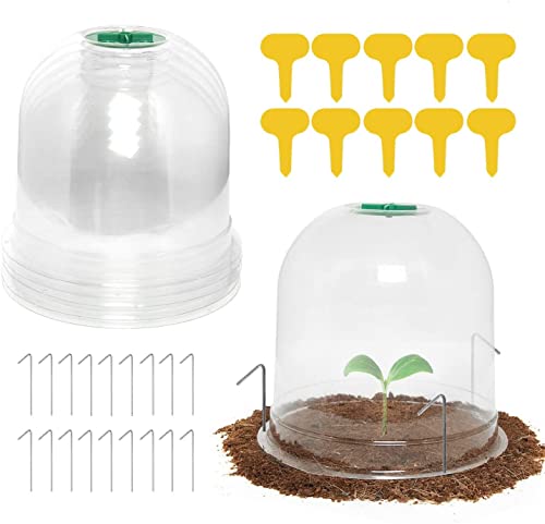 LATERN 6Pcs Garden Plant Cloche, 26cm x 20cm Plant Dome Bell Cover Reusable Plastic Mini Greenhouse for Warming Garden Soil Plants Frost Protect