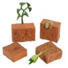 URFEDA Life Cycle Figurines of Plant, Growth Cycle Toys for Kids Learning and Teaching Aids Plant Life Cycle Growth Cycle Model Life Cycle Plant