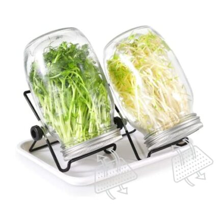 Sprouting Seeds Jar Kit-2Pack 32oz Complete Mason Jar Sprouting Kit with Stainless Steel Sprouter Lids, Stand & Tray Organic Home Sprout Maker fo