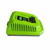 aunstarwei 40V 2A Replacement Battery Charger Compatible with Greenworks 40V Battery Lithium Ion 29482 29462 29472 2901319 2938302 BAF702 L-300 B