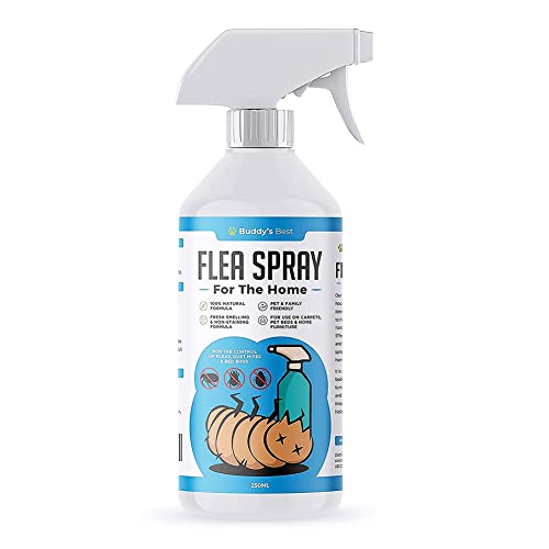 Flea Spray for The Home | for The Control of Fleas, Dust Mites & Bed Bugs | for Use on Carpets, Pet Beds & Home Furniture | 100% Natural Formula