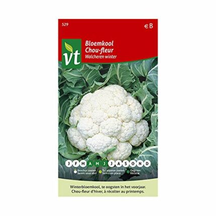 Cauliflower Walcheren Winter Seeds - 0,5 g - Seeds: 350