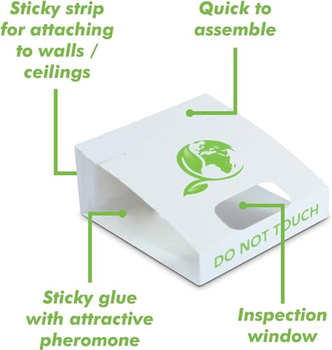 Spider Trap 30 Pack | Spiders And Crawling Insect Killer Traps