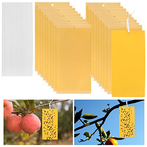 Dual-sided Fly Trap Sticky, 25Pcs Plant Fly Catcher, Board Fruit Fly Traps Sticker Insect Gnat Traps, Yellow Fly Stickers for Mosquitos, Flying A