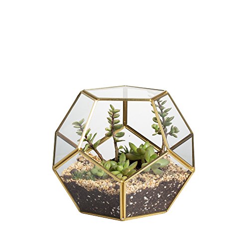 NCYP 15cm Small Glass Geometric Terrarium Planter, Tabletop Pentagon Display Terrarium Pot for Succulent Cacti Fern Moss Air Plants, Indoor Home
