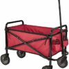 Amazon Basics Garden Tool Collection Collapsible Folding Outdoor Garden's Utility Wagon with Cover Bag, Grey