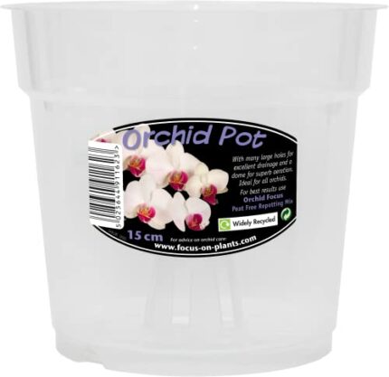 Clear Orchid Pot 15 cm