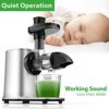 Slow Juicer Masticating Machine, Juicers for Vegetables and Fruit, Cold Press with Dual-Stage Quiet Motor & Reverse Function, Free Cup Cleaning B