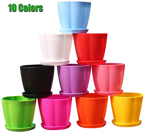 LATERN 10Pcs Plastic Plant Pots, 11cm Colorful Flower Pots Indoor Plant Pots Seedling Nursery Planter with Saucers for Garden Office Desk Balcony