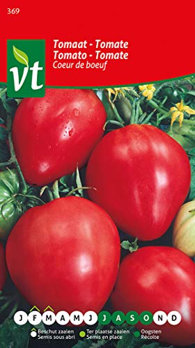 Tomato Coeur de boeuf Seeds