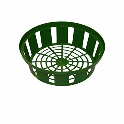 Xclou Flower Bulb Planting Tray in Green, Onion Planting Basket Made of Plastic with 31 cm Diameter in a Set of 3, Planting Bowls for Flower Bulb