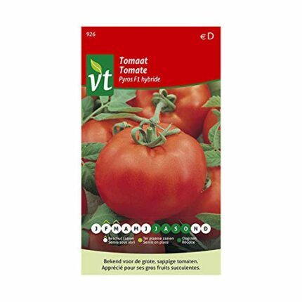 Tomato Pyros F1 Hybrid Seeds - Large, Succulent Fruit with Excellent Flavour - 0,3 g - Seeds: 300