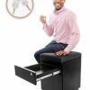 Stand Steady Vert | Rolling File Cabinet | 2 Drawer Mobile File Cabinet with Locking Storage | Small Filing Cabinet with Cushion Top for an Extra