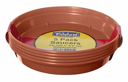 Whitefurze G04118 Garden Pot Saucer for 12.7/ 15cm Pot - Terracotta (Set of 5)