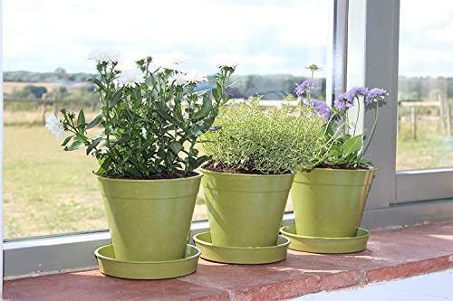 Haxnicks 5x Indoor & Outdoor Sustainable Bamboo Fibre Plant Pots | 4 Inch Diameter | Pack of 5 | Sage Green | Pot180101